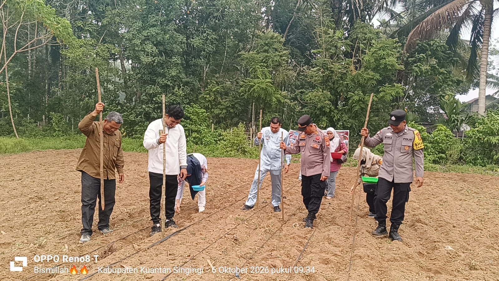 Dukung Ketahanan Pangan, Polsek Kuantan Mudik Tanam Jagung di Desa Petapahan